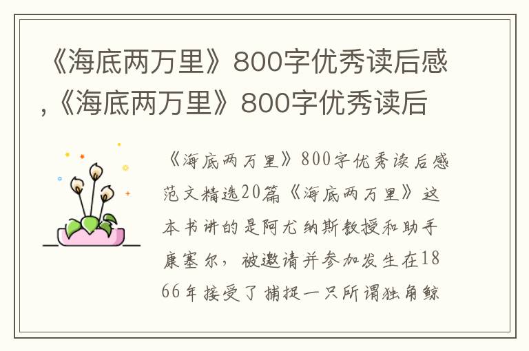 《海底兩萬里》800字優(yōu)秀讀后感,《海底兩萬里》800字優(yōu)秀讀后感精選20篇