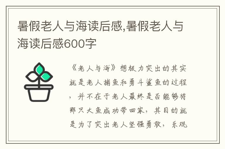 暑假老人與海讀后感,暑假老人與海讀后感600字