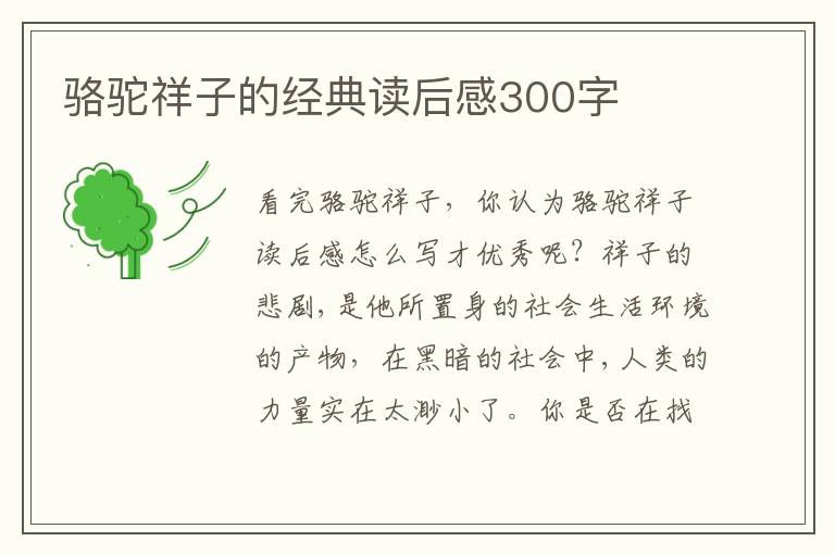 駱駝祥子的經(jīng)典讀后感300字