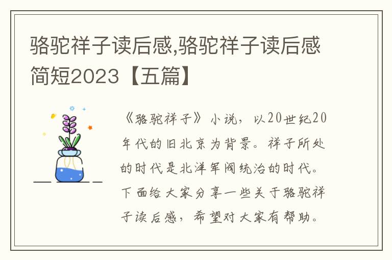 駱駝祥子讀后感,駱駝祥子讀后感簡(jiǎn)短2023【五篇】