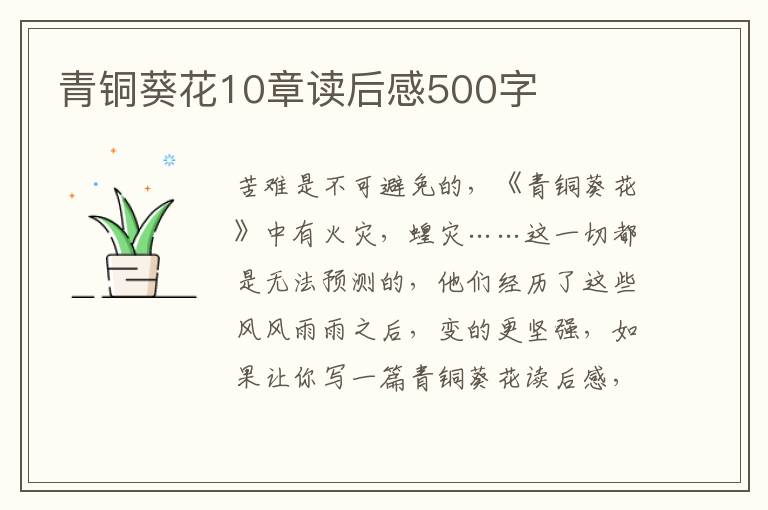 青銅葵花10章讀后感500字