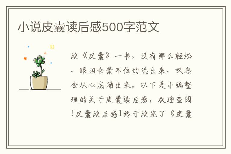 小說皮囊讀后感500字范文