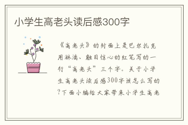 小學(xué)生高老頭讀后感300字