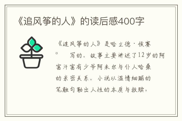 《追風箏的人》的讀后感400字