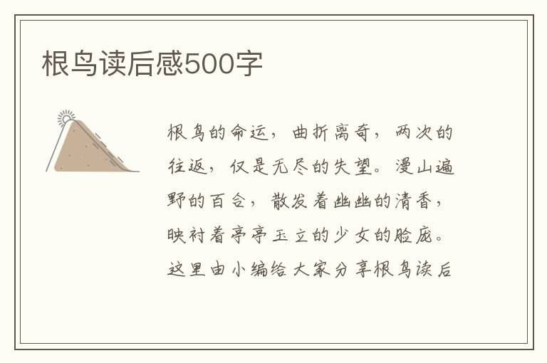 根鳥讀后感500字