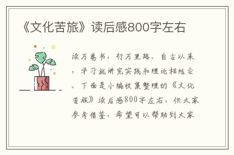 《文化苦旅》讀后感800字左右