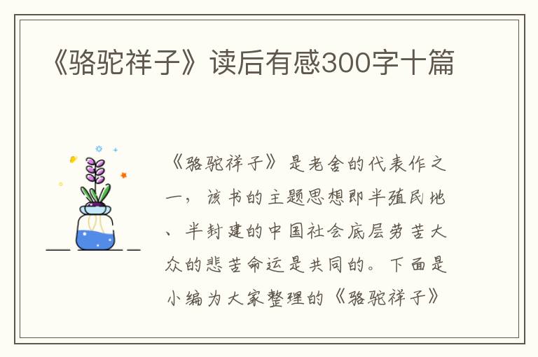 《駱駝祥子》讀后有感300字十篇