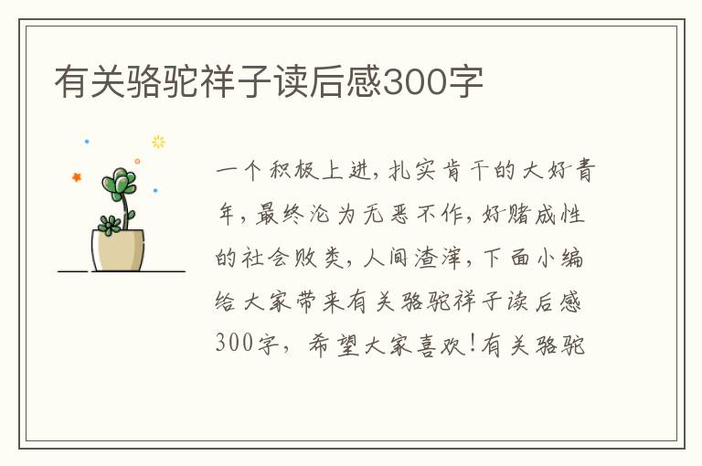 有關(guān)駱駝祥子讀后感300字