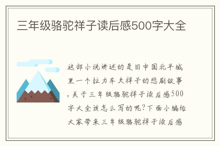 三年級駱駝祥子讀后感500字大全