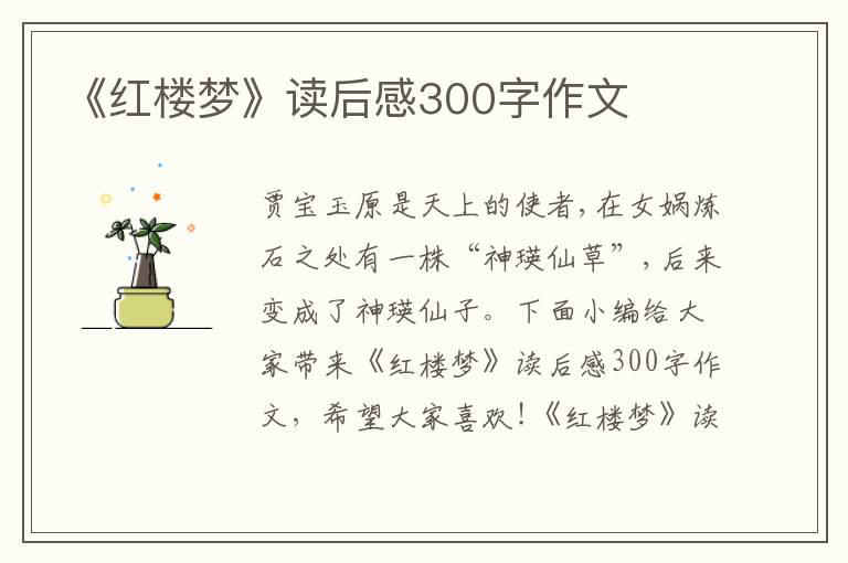 《紅樓夢(mèng)》讀后感300字作文