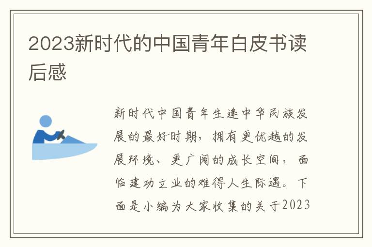 2023新時(shí)代的中國(guó)青年白皮書讀后感