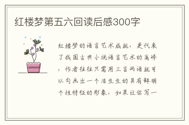 紅樓夢第五六回讀后感300字