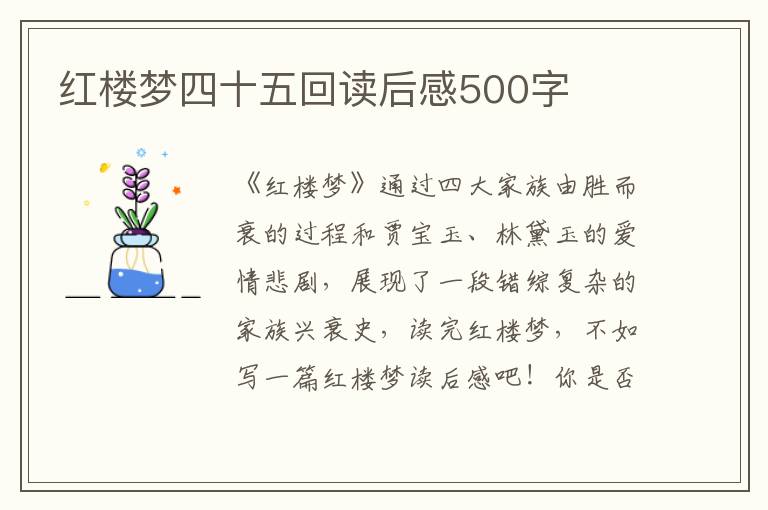 紅樓夢四十五回讀后感500字