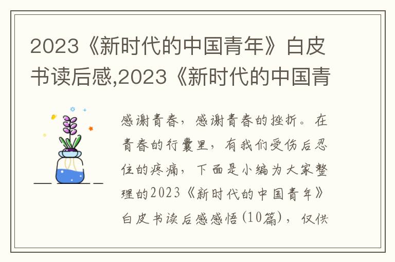 2023《新時(shí)代的中國青年》白皮書讀后感,2023《新時(shí)代的中國青年》白皮書讀后感感悟（10篇）