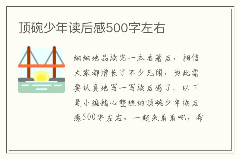 頂碗少年讀后感500字左右