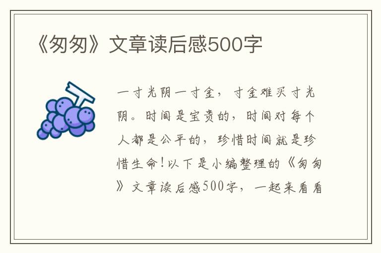 《匆匆》文章讀后感500字