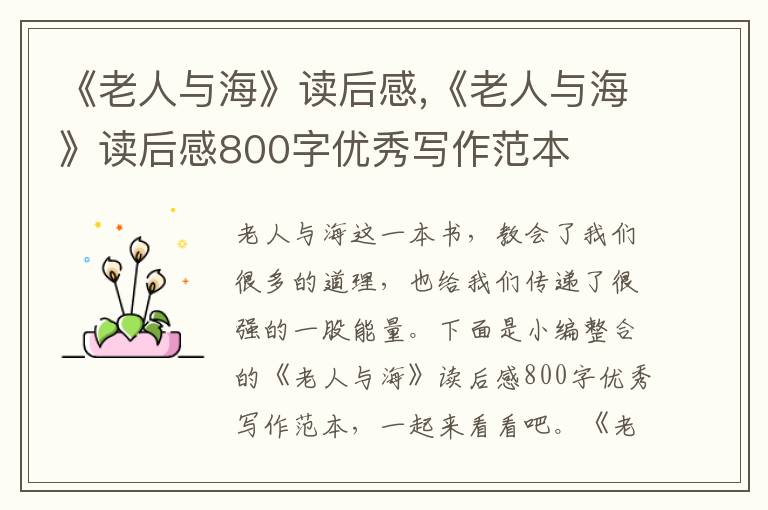 《老人與?！纷x后感,《老人與?！纷x后感800字優(yōu)秀寫作范本