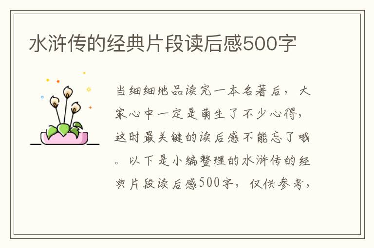 水滸傳的經(jīng)典片段讀后感500字