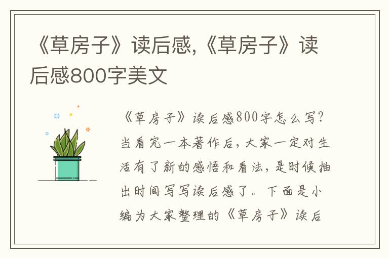 《草房子》讀后感,《草房子》讀后感800字美文