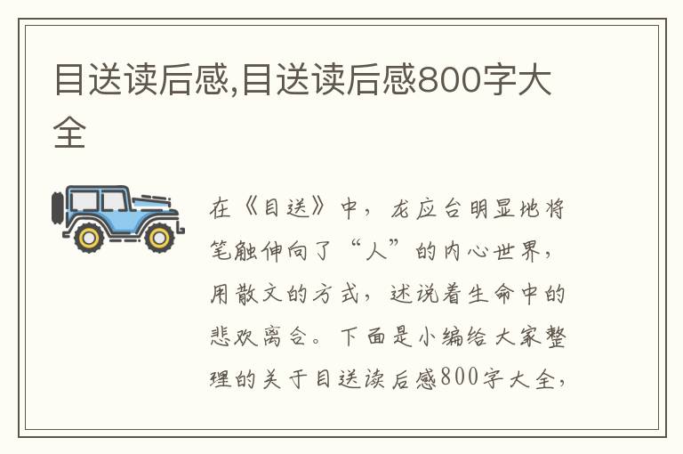 目送讀后感,目送讀后感800字大全