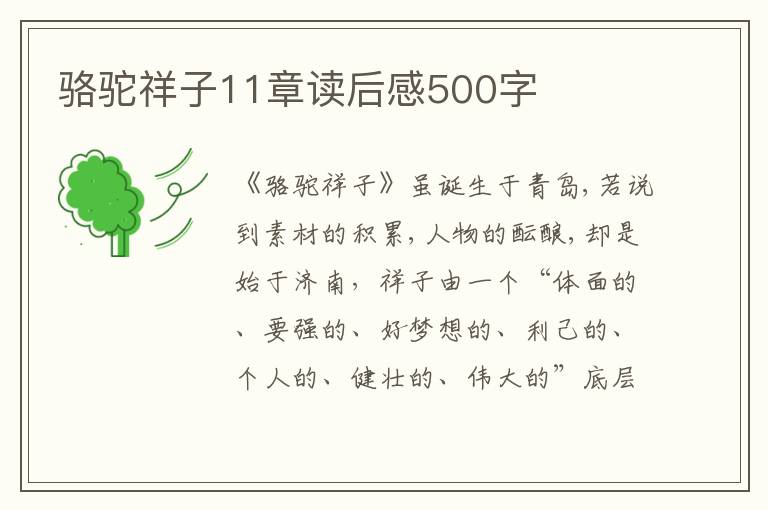 駱駝祥子11章讀后感500字