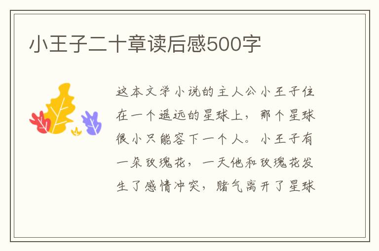 小王子二十章讀后感500字