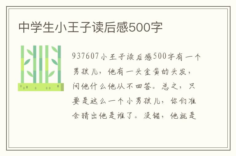 中學(xué)生小王子讀后感500字