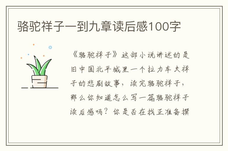 駱駝祥子一到九章讀后感100字