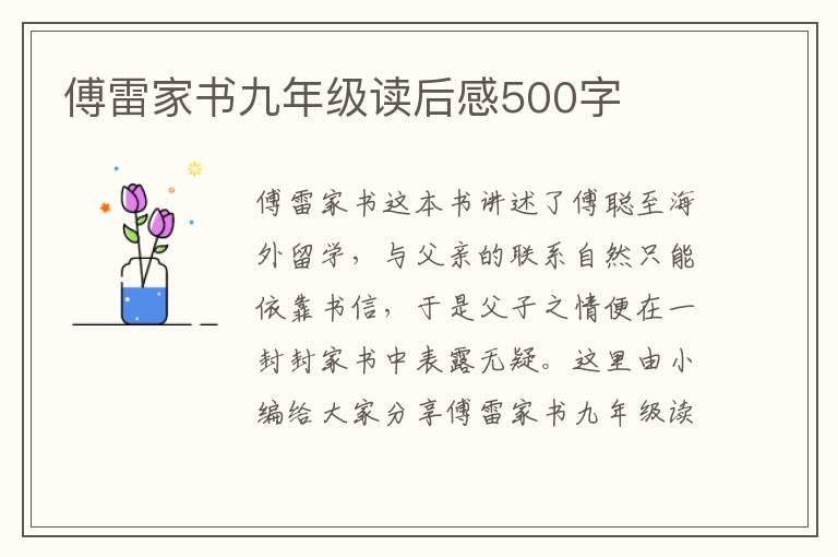 傅雷家書九年級讀后感500字