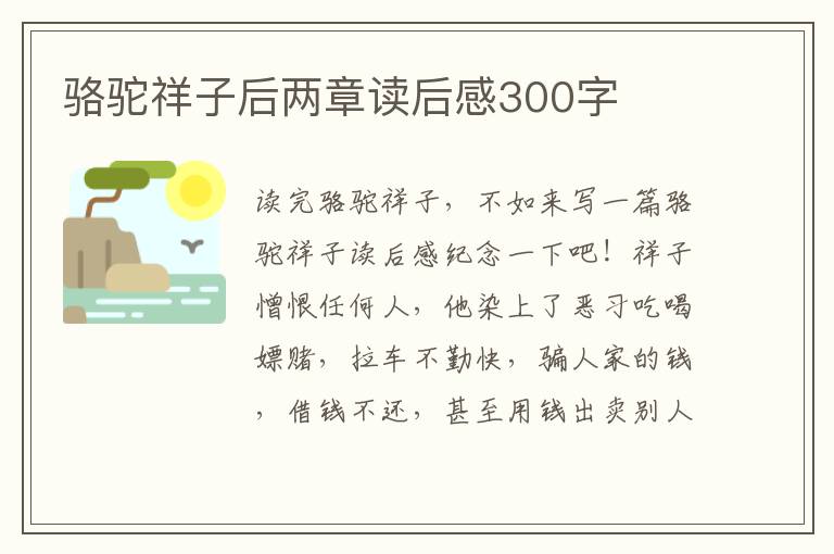 駱駝祥子后兩章讀后感300字