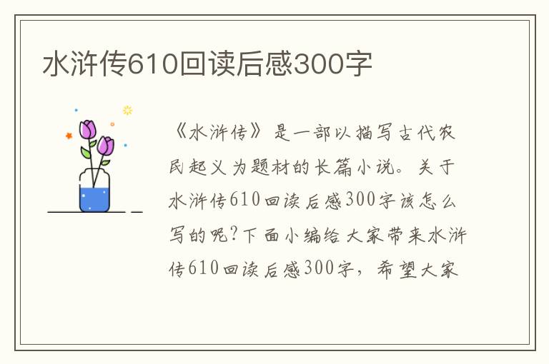 水滸傳610回讀后感300字