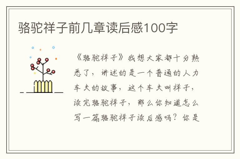 駱駝祥子前幾章讀后感100字