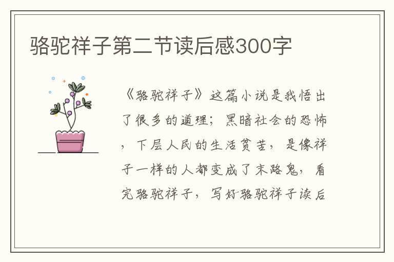 駱駝祥子第二節(jié)讀后感300字