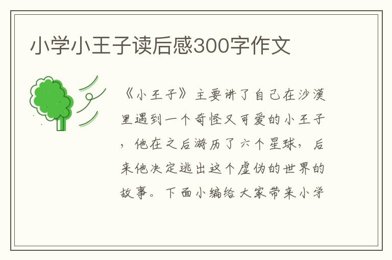 小學(xué)小王子讀后感300字作文