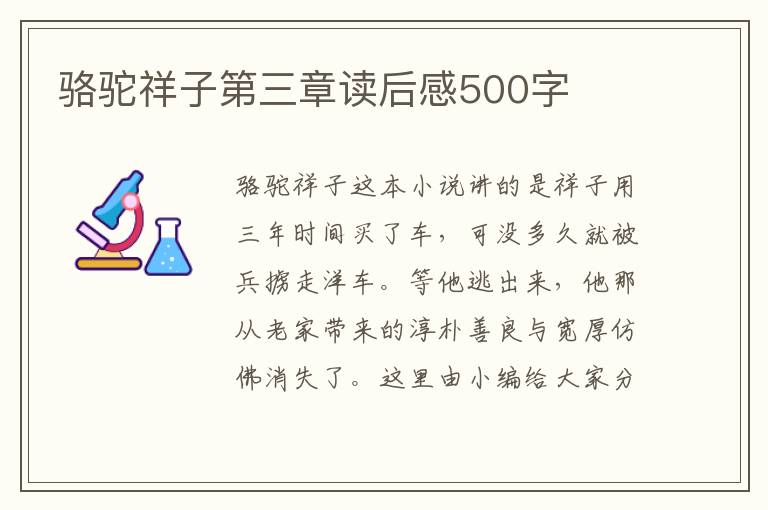 駱駝祥子第三章讀后感500字