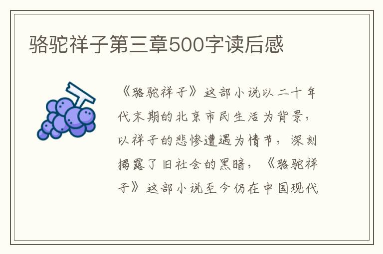 駱駝祥子第三章500字讀后感