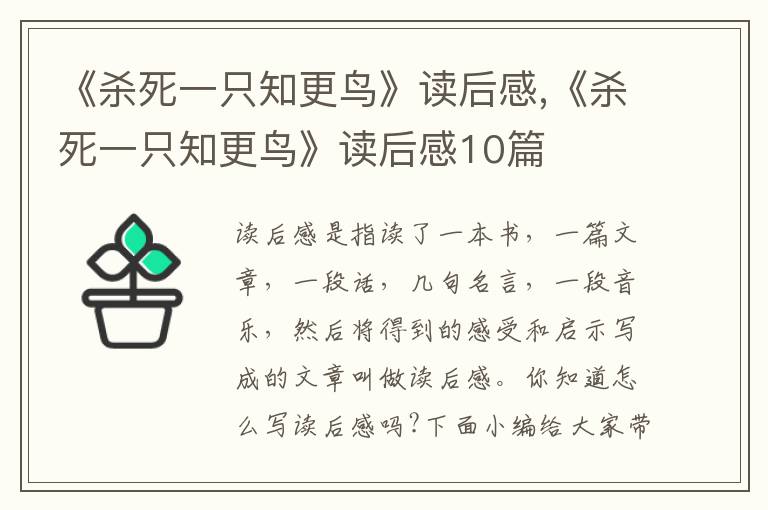 《殺死一只知更鳥(niǎo)》讀后感,《殺死一只知更鳥(niǎo)》讀后感10篇