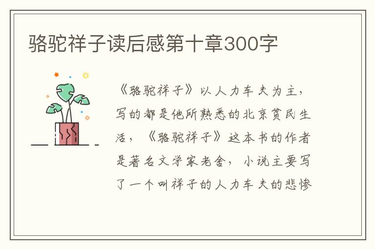 駱駝祥子讀后感第十章300字