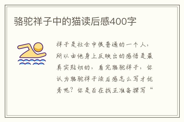 駱駝祥子中的貓讀后感400字