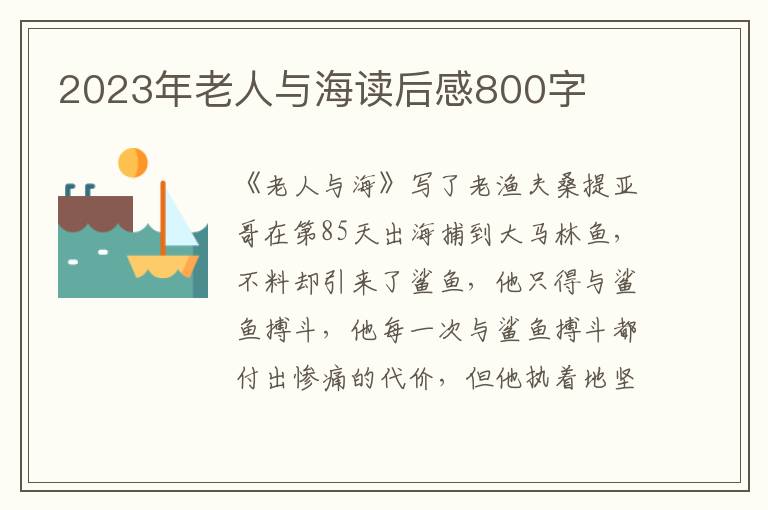 2023年老人與海讀后感800字