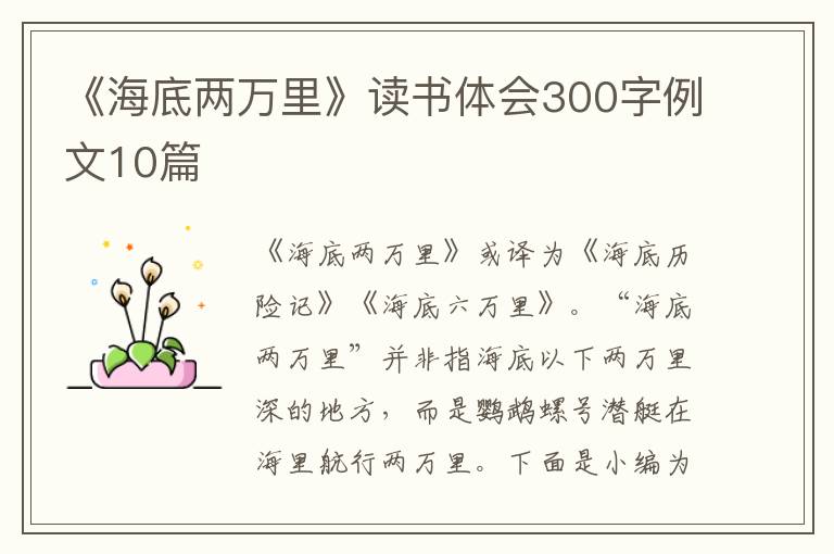 《海底兩萬里》讀書體會300字例文10篇