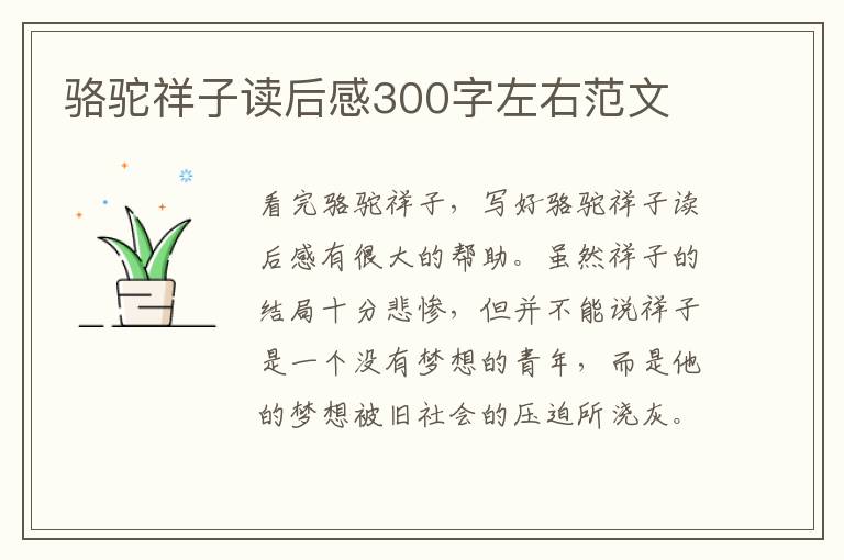 駱駝祥子讀后感300字左右范文