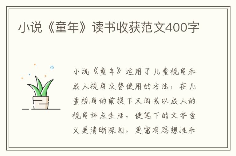 小說《童年》讀書收獲范文400字