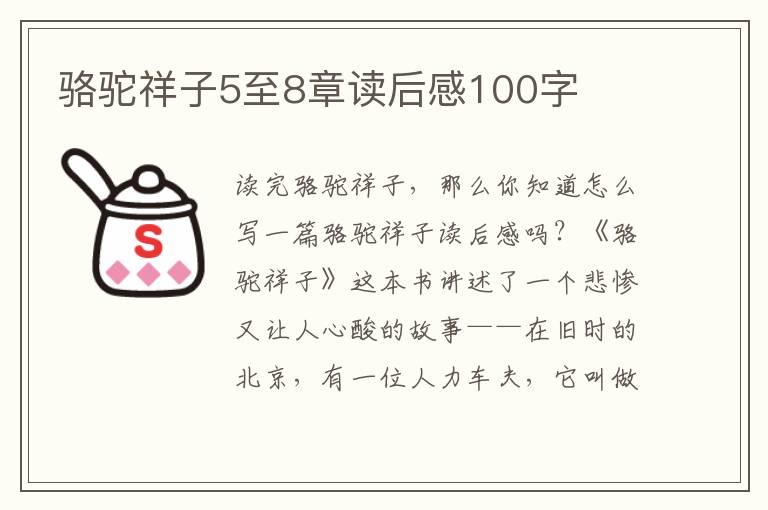 駱駝祥子5至8章讀后感100字