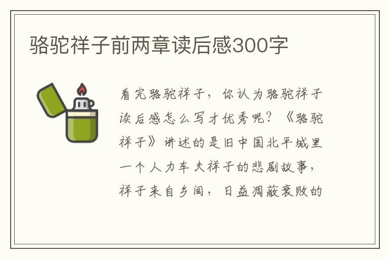 駱駝祥子前兩章讀后感300字