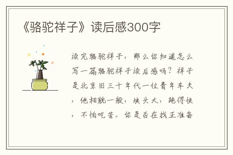 《駱駝祥子》讀后感300字