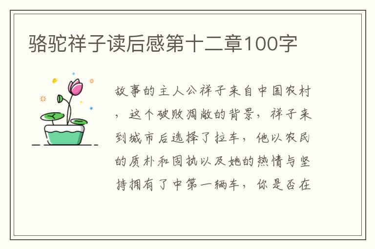 駱駝祥子讀后感第十二章100字