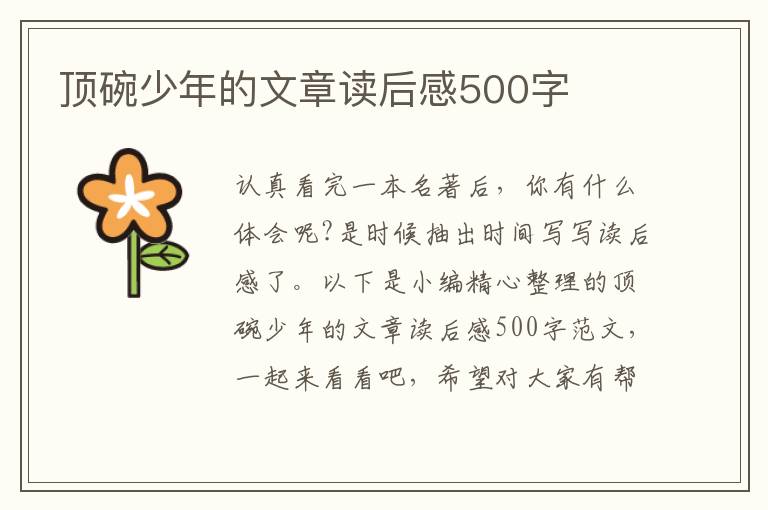 頂碗少年的文章讀后感500字