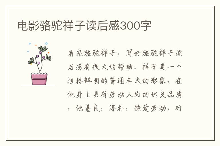 電影駱駝祥子讀后感300字