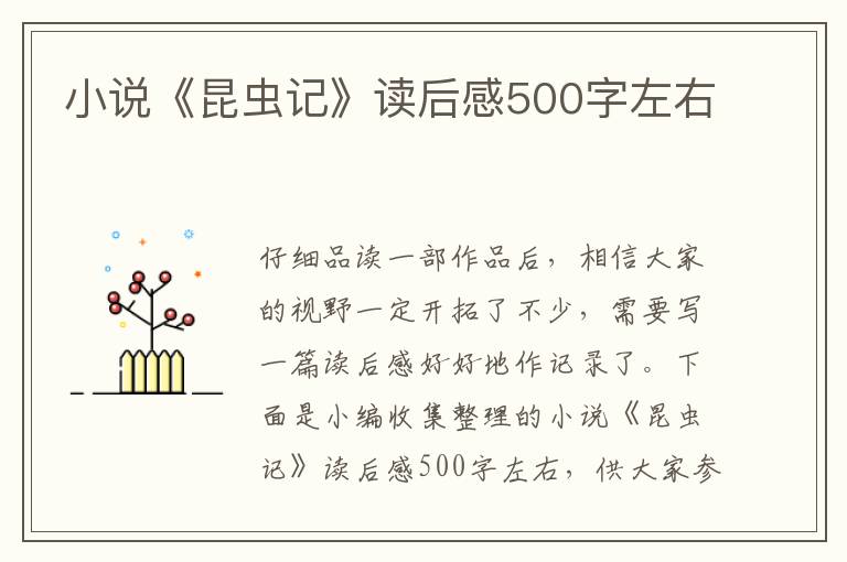 小說《昆蟲記》讀后感500字左右